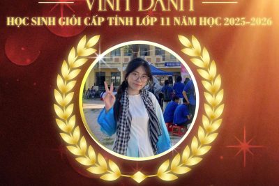 VINH DANH HỌC SINH GIỎI CẤP TỈNH LỚP 11 NĂM HỌC 2025-2026